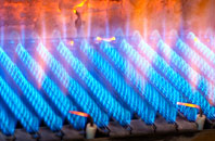 Haslingbourne gas fired boilers